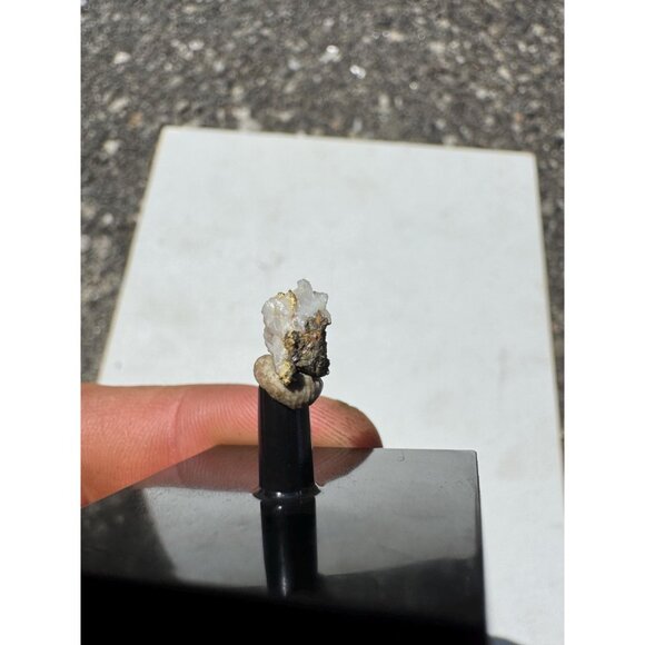 Gold on Quartz - Natural California Gold Specimen in Perky Display Box - #8 - Picture 3 of 7